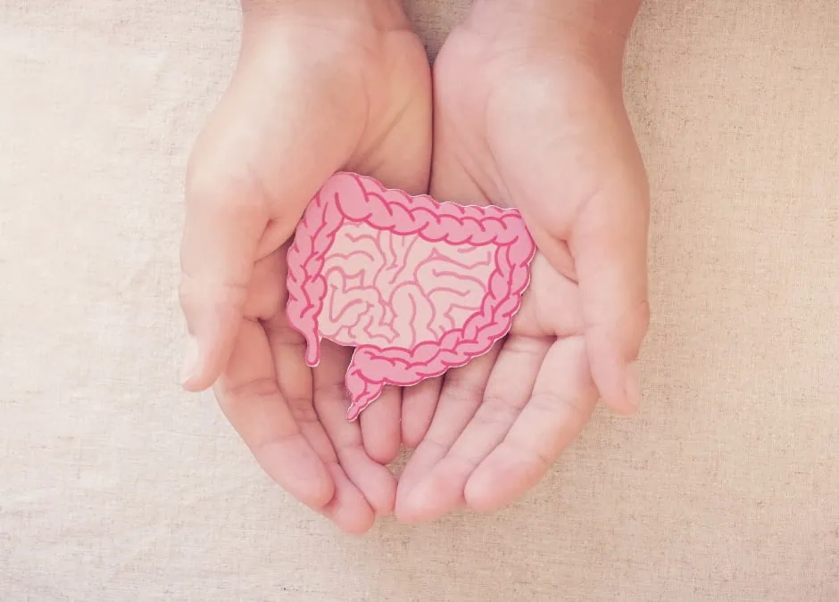 Inflammation and Gut Health